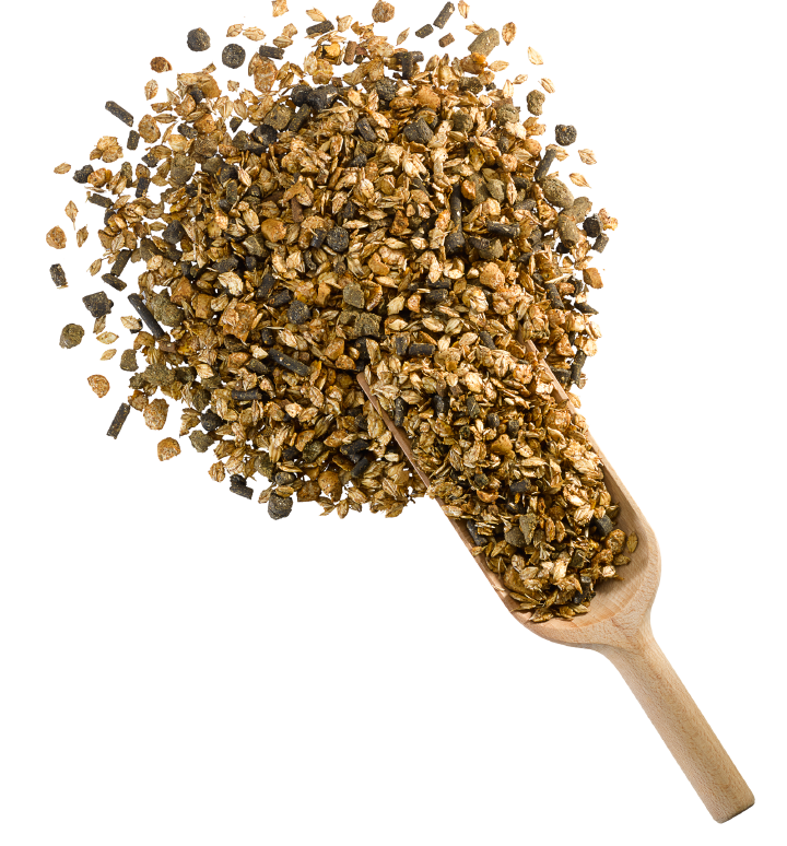 DERBY Sport-Müsli